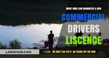 Ohio Law Requiring Non-Commercial Driver's Licenses: What You Need to Know
