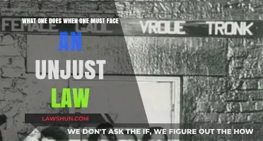 Confronting Injustice: How to Resist and Challenge Unjust Laws