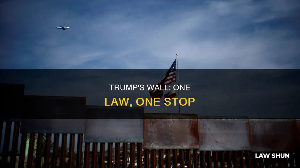 what one law can shut down trump