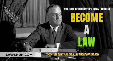 Roosevelt's Unfulfilled Legacy: A Law Left Behind