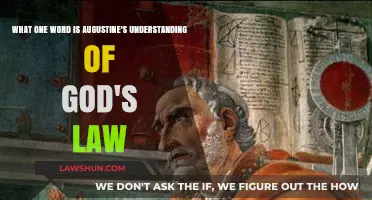Augustine's Divine Law: One Word Unveiling God's Eternal Command