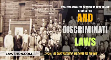 The NAACP's Historic Fight Against Segregation and Discrimination Laws