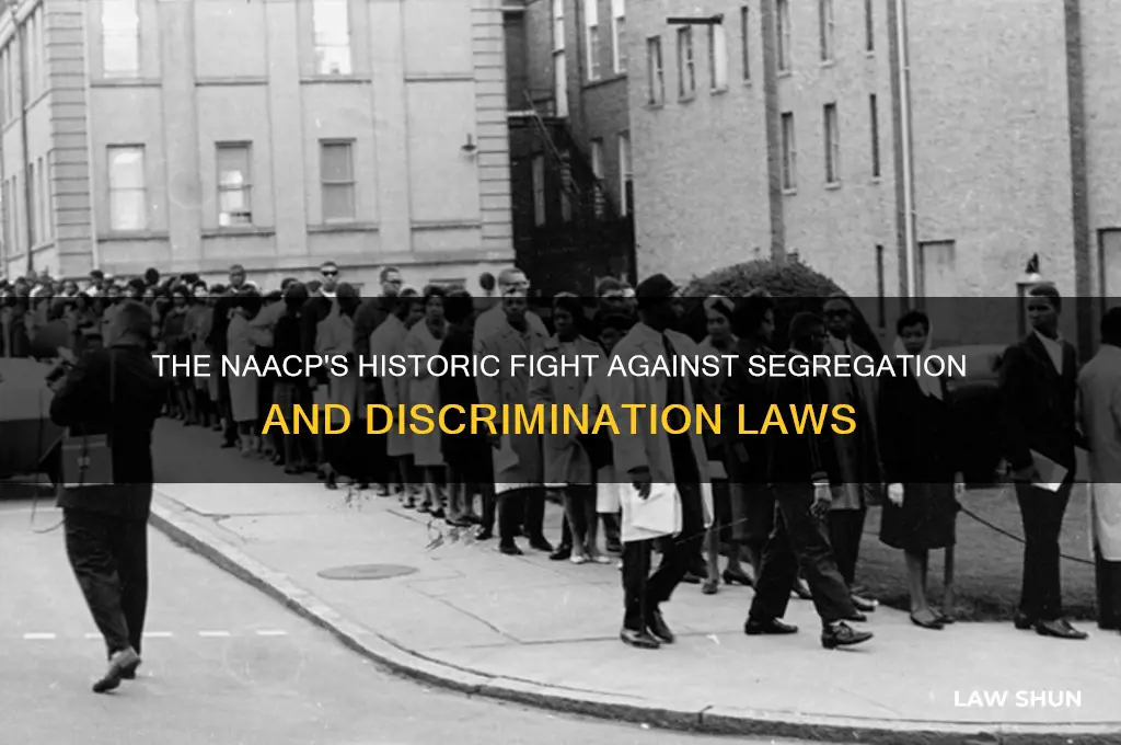 what organization founded in 1909 tested segregation and discrimination laws