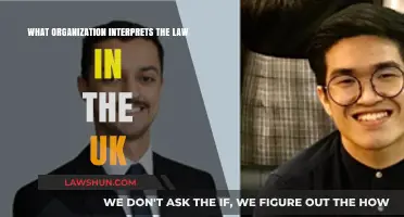 Who Interprets the Law in the UK?