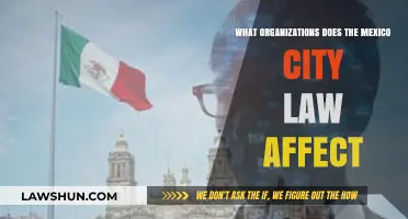 Mexico City Law: Which Organizations Face Compliance Requirements?