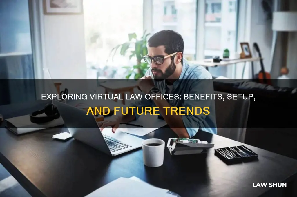 what os a virtual law office
