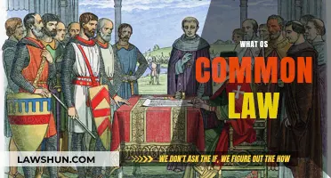 Understanding the Basics of Common Law
