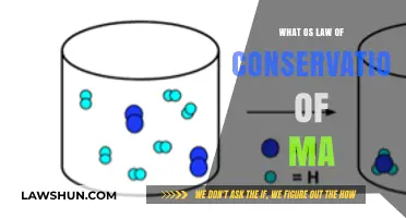 Understanding the Law of Conservation of Mass: Principles and Applications