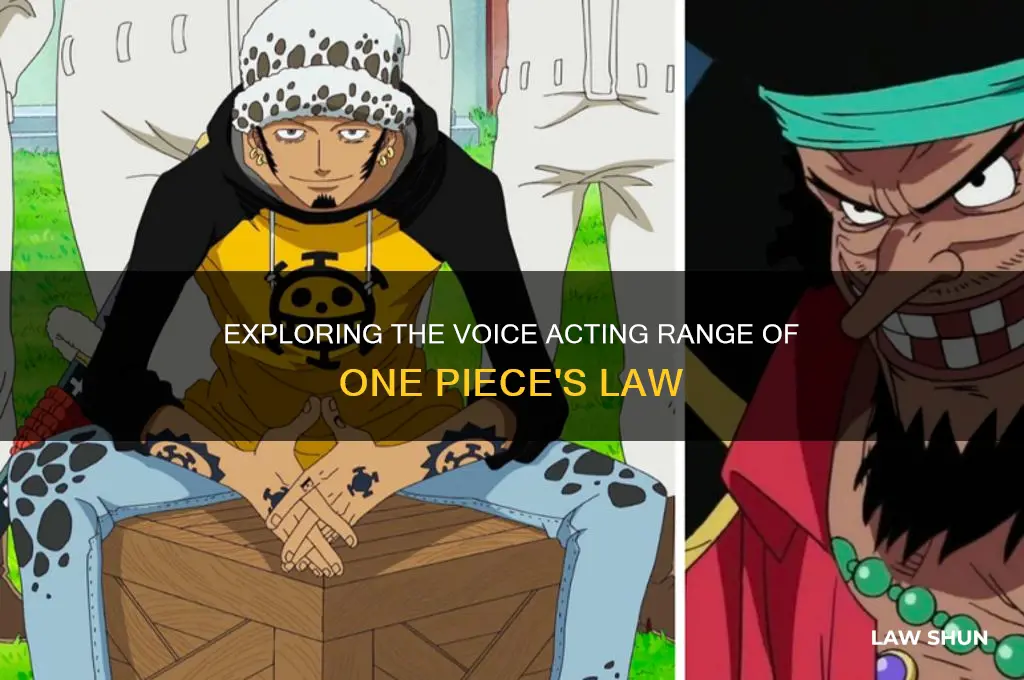what other characters does one piece law voice act do