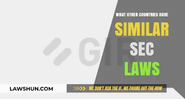 Exploring Global Securities Laws: Similarities Across International Markets