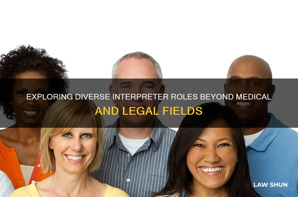what other interpreters are there other then medical and law