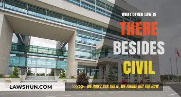 Exploring Criminal, Constitutional, and Administrative Laws Beyond Civil Law
