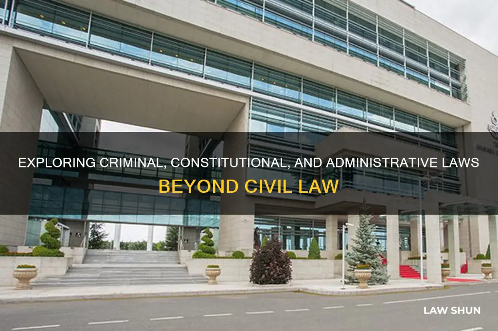 what other law is there besides civil