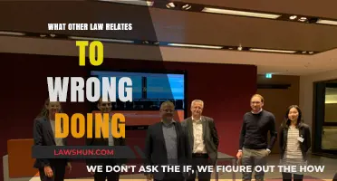 Exploring Legal Connections: Laws Beyond Wrongdoing and Their Impact