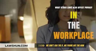 Workplace Privacy Laws: Exploring Additional Legal Protections for Employees