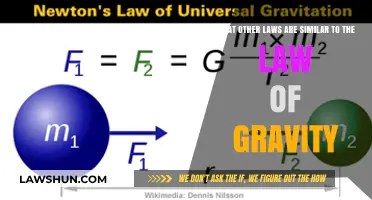 Exploring Universal Forces: Laws Parallel to Gravity's Pull