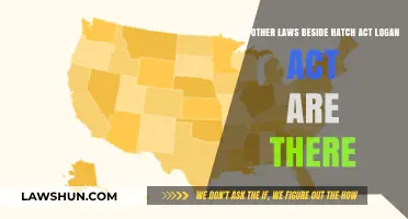 Exploring Key U.S. Laws Beyond the Hatch and Logan Acts