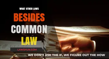 Exploring the World Beyond Common Law