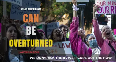 Future Legal Battles: Which Laws Could Be Overturned?