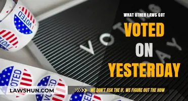 Yesterday's Legislative Updates: Key Laws Voted On and Their Impact