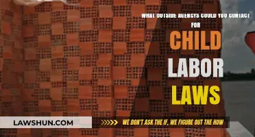 Child Labor Laws: Key External Agencies to Contact for Assistance