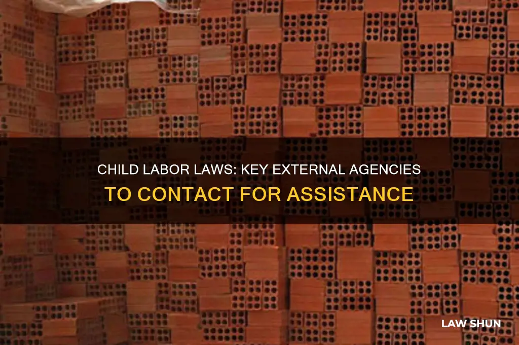 what outside agencys could you contact for child labor laws
