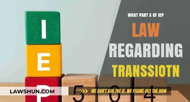 Understanding IEP Transition Law: Key Components for Student Success