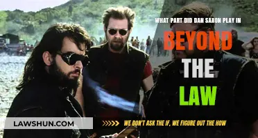 Dan Saxon's Role in 'Beyond the Law': A Detailed Analysis