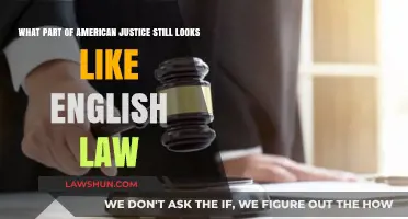American Justice's Enduring Echoes of English Law: A Comparative Analysis