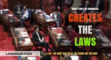 Who Crafts the Laws in Congress?