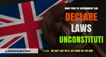 Who Can Declare Laws Unconstitutional?