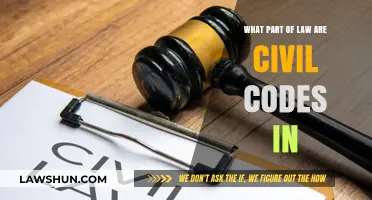 Understanding Civil Codes: Their Role and Place in Legal Systems