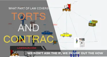 Understanding Torts and Contracts: The Core of Law