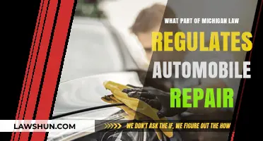 Understanding Michigan's Legal Framework for Automobile Repair Regulations