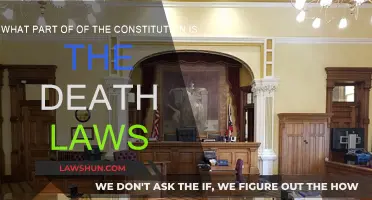 Death Laws: What Part of the Constitution?