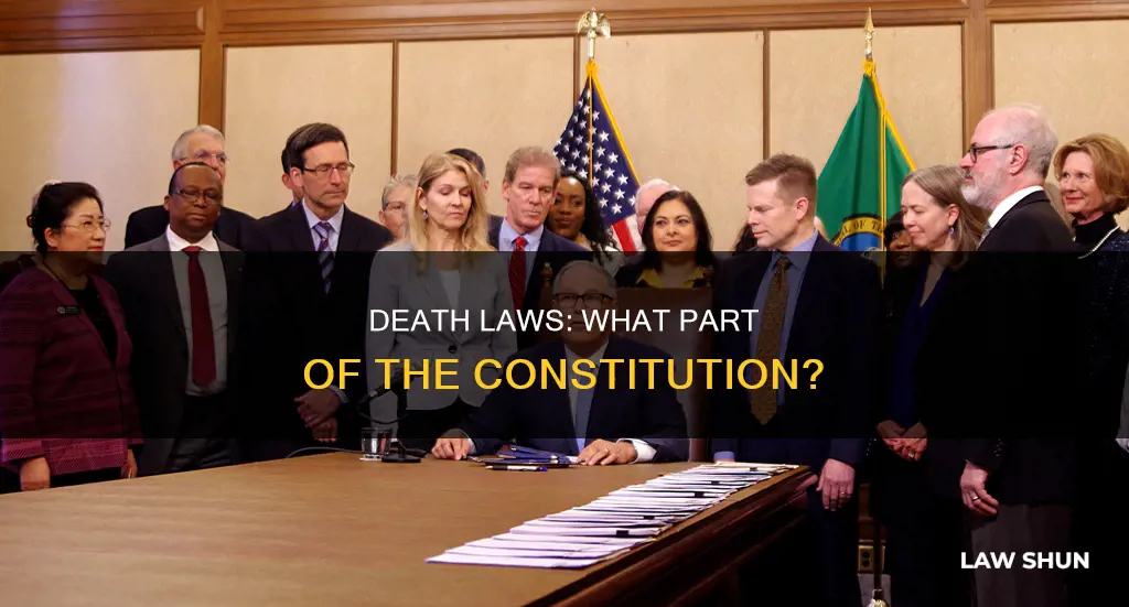 what part of of the constitution is the death laws