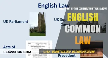 The Constitution and English Common Law