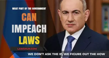 Who Can Impeach Laws?