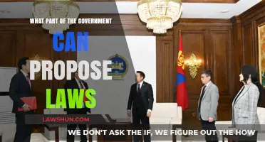 Who Can Propose Laws? Understanding Government Lawmakers