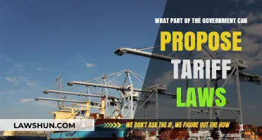 Who Proposes Tariff Laws in Government?