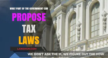 Who Proposes Tax Laws?