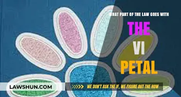 Understanding the Legal Framework Linked to the VI Petal