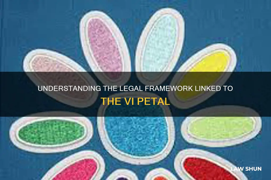 what part of the law goes with the vi petal