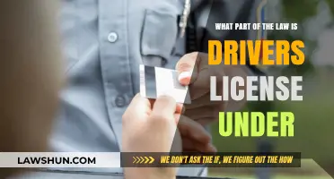 Driving Licenses: What Area of Law Governs Them?