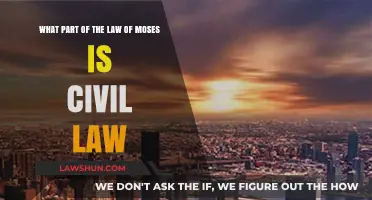 Understanding Civil Law Within the Mosaic Law: A Comprehensive Analysis