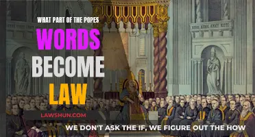 The Pope's Words: Law or Suggestion?