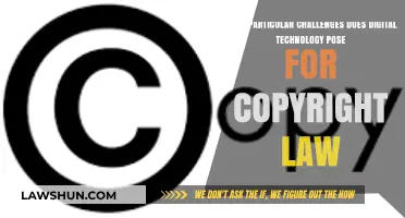 Digital Technology's Copyright Conundrum: Navigating New Legal Challenges