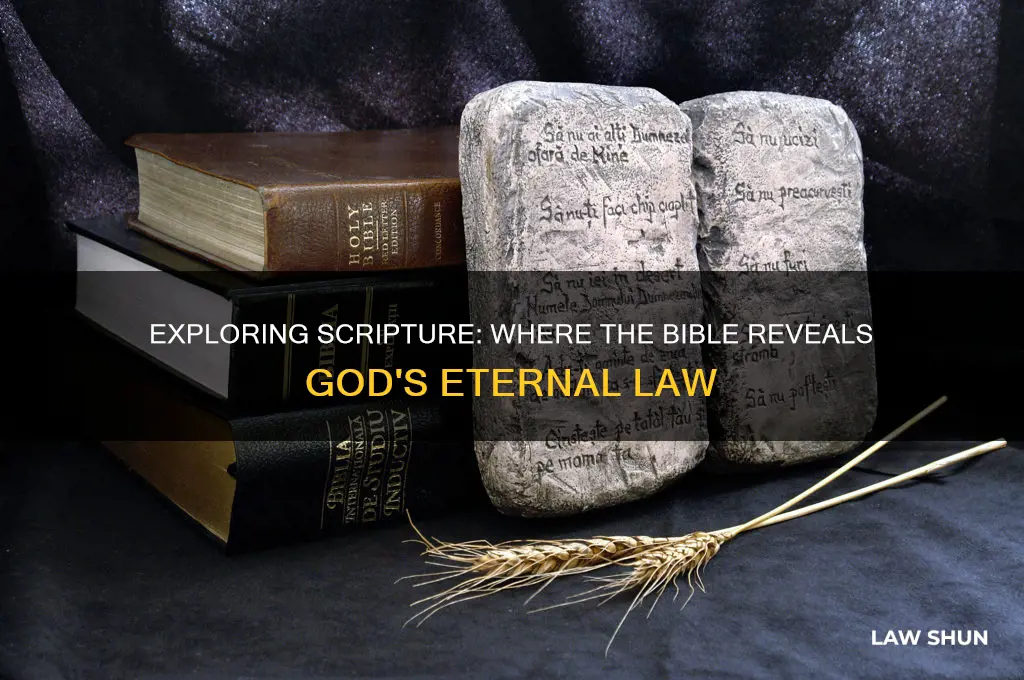 what parts of the bible talks about god