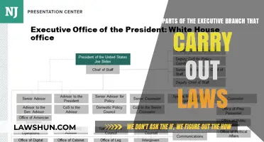 Understanding the Executive Branch Agencies Enforcing and Implementing U.S. Laws
