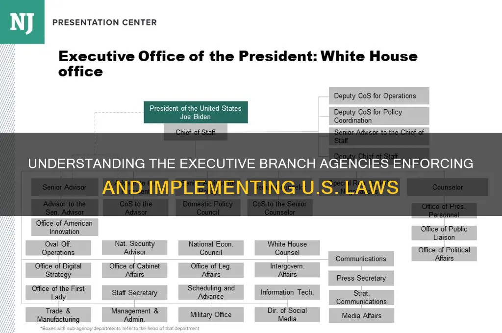 what parts of the executive branch that carry out laws